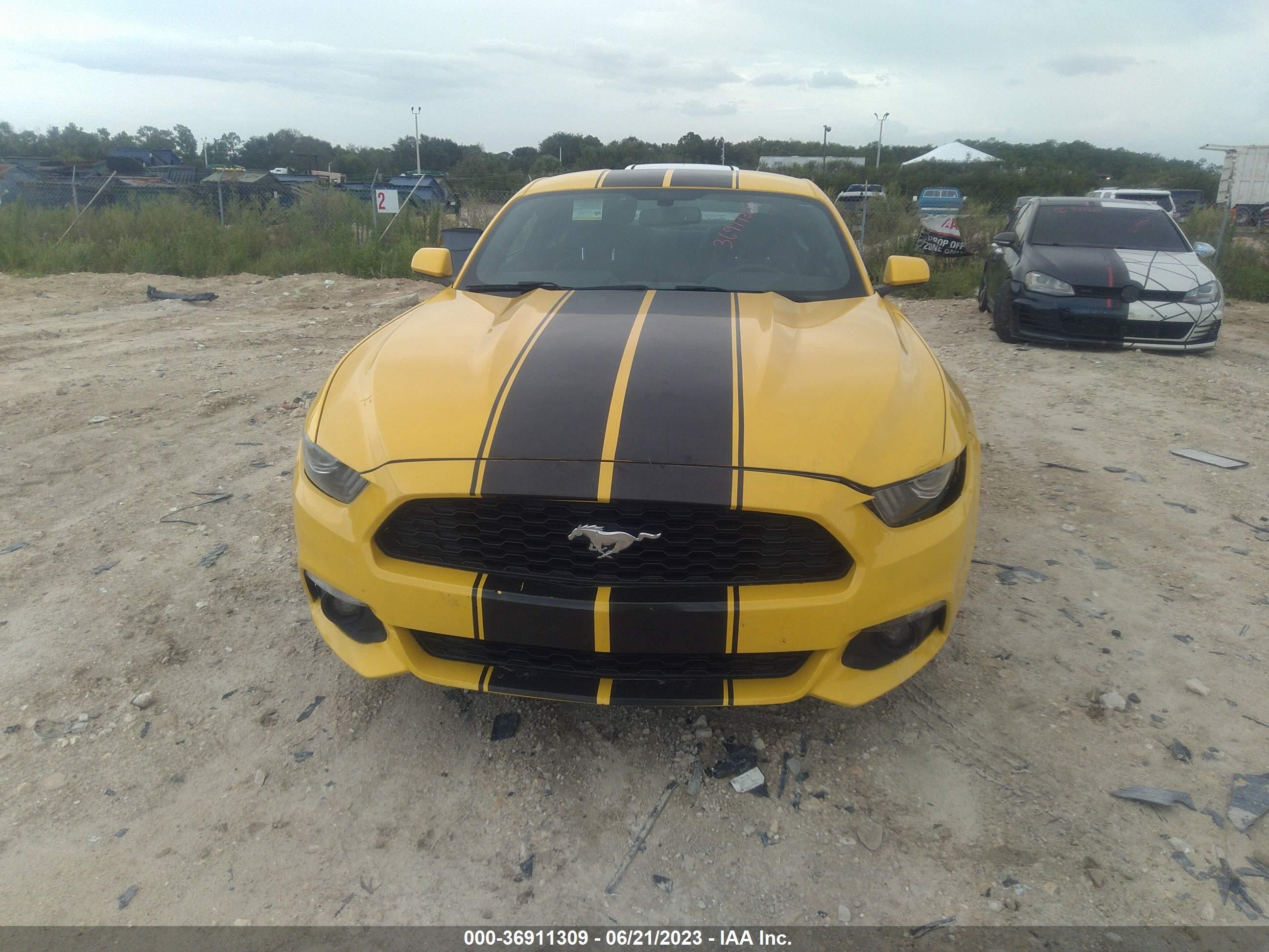 Photo 5 VIN: 1FA6P8TH0G5252002 - FORD MUSTANG 