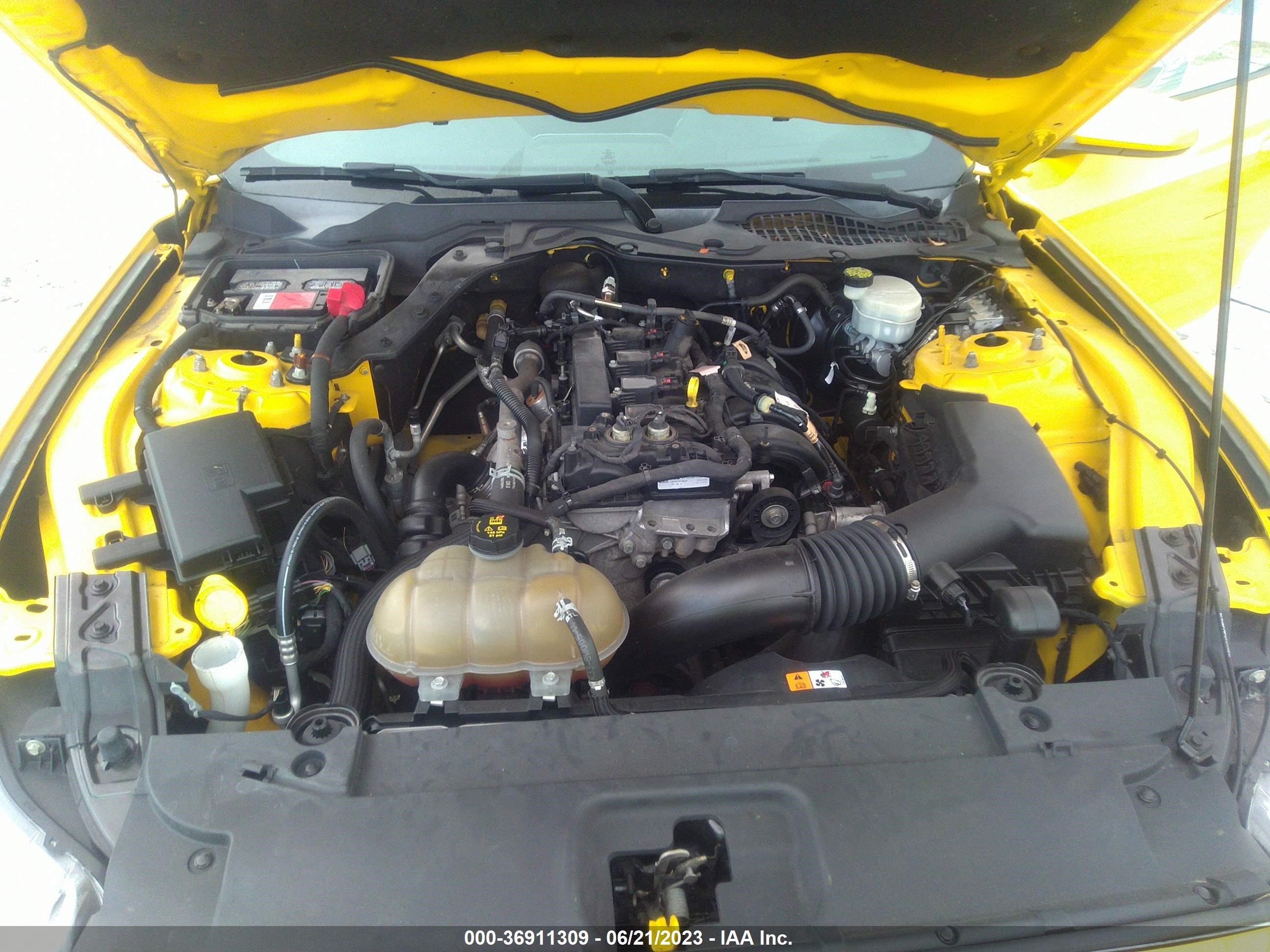 Photo 9 VIN: 1FA6P8TH0G5252002 - FORD MUSTANG 