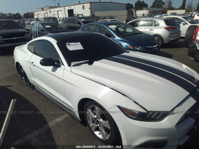 Photo 5 VIN: 1FA6P8TH0G5256812 - FORD MUSTANG 