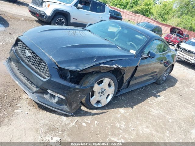 Photo 1 VIN: 1FA6P8TH0G5289762 - FORD MUSTANG 