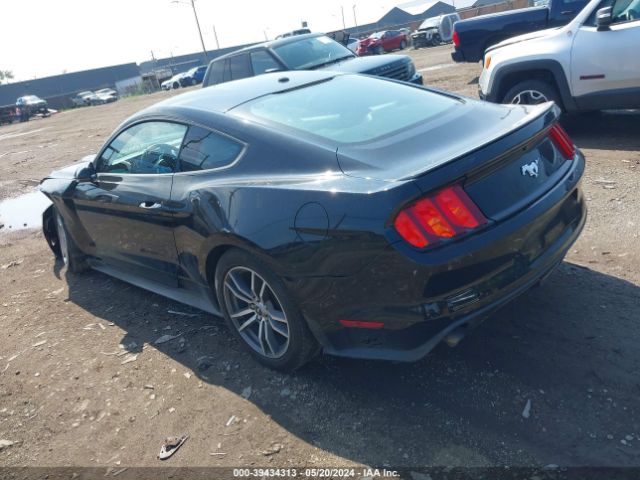 Photo 2 VIN: 1FA6P8TH0G5289762 - FORD MUSTANG 