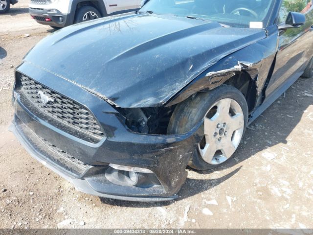 Photo 5 VIN: 1FA6P8TH0G5289762 - FORD MUSTANG 