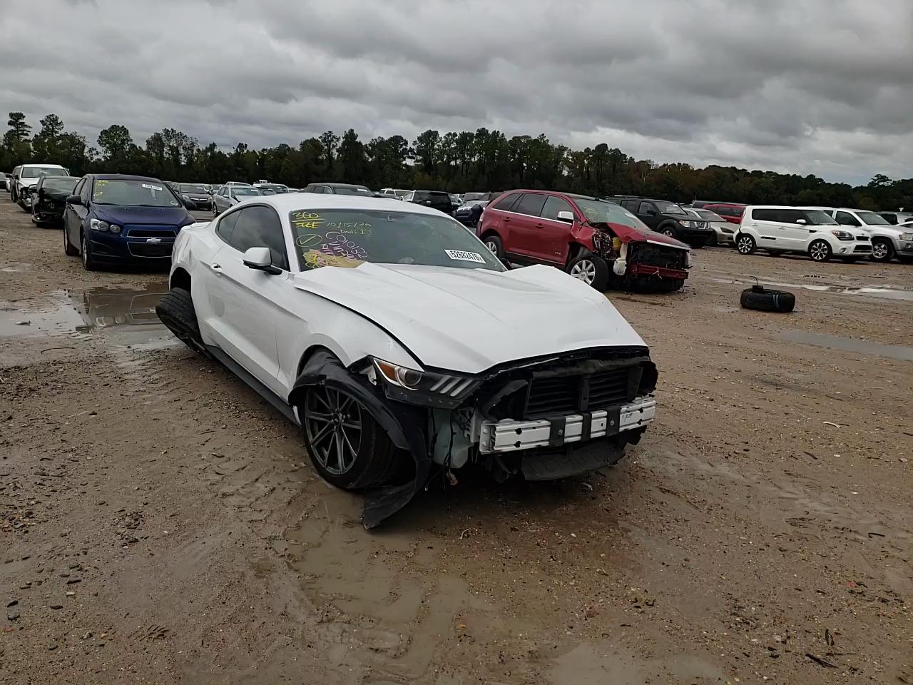 Photo 10 VIN: 1FA6P8TH0G5292967 - FORD MUSTANG 