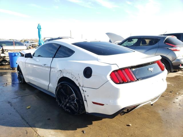 Photo 2 VIN: 1FA6P8TH0G5303000 - FORD MUSTANG 