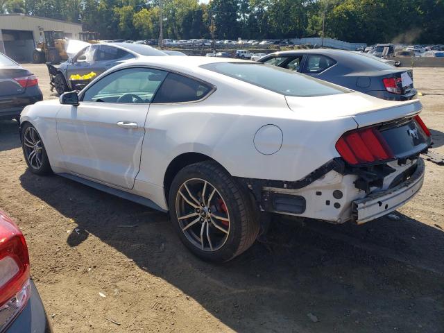 Photo 1 VIN: 1FA6P8TH0H5258223 - FORD MUSTANG 