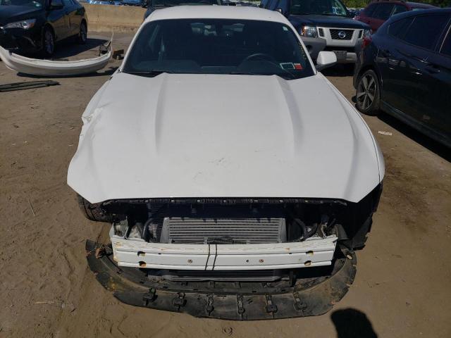 Photo 4 VIN: 1FA6P8TH0H5258223 - FORD MUSTANG 