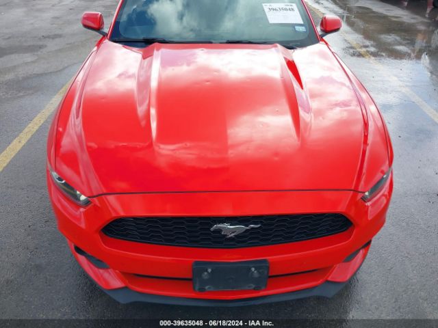 Photo 5 VIN: 1FA6P8TH0H5276673 - FORD MUSTANG 