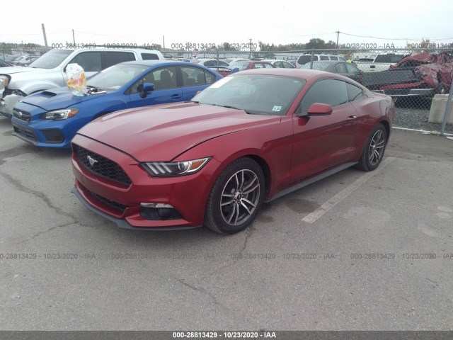 Photo 1 VIN: 1FA6P8TH0H5282800 - FORD MUSTANG 