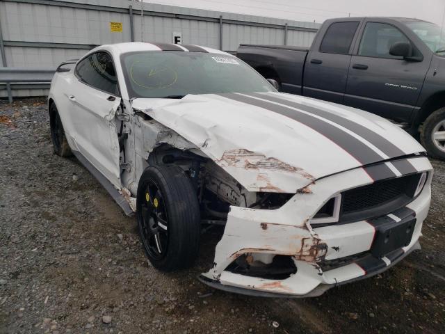 Photo 8 VIN: 1FA6P8TH0H5295952 - FORD MUSTANG 