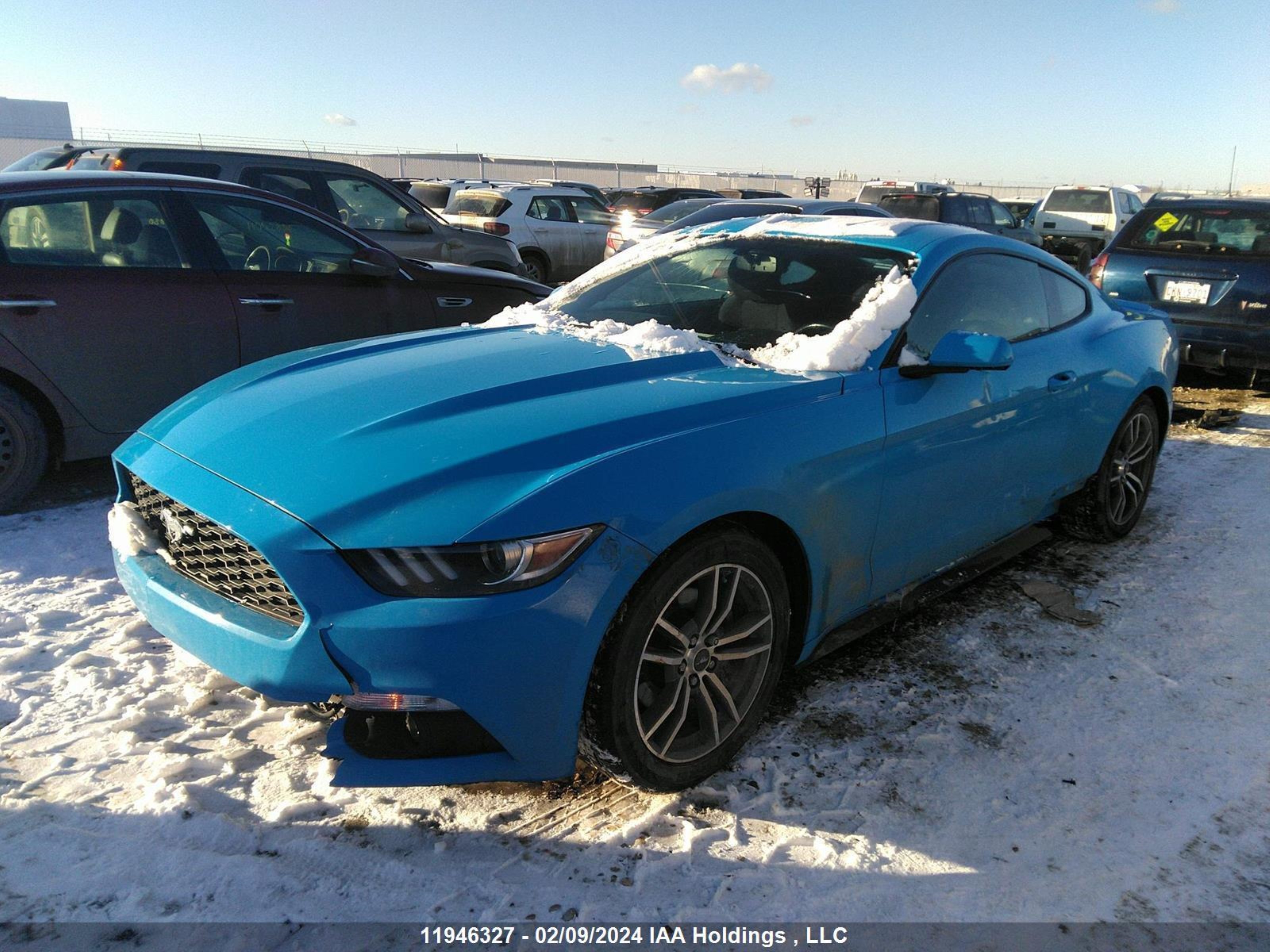 Photo 1 VIN: 1FA6P8TH0H5298883 - FORD MUSTANG 