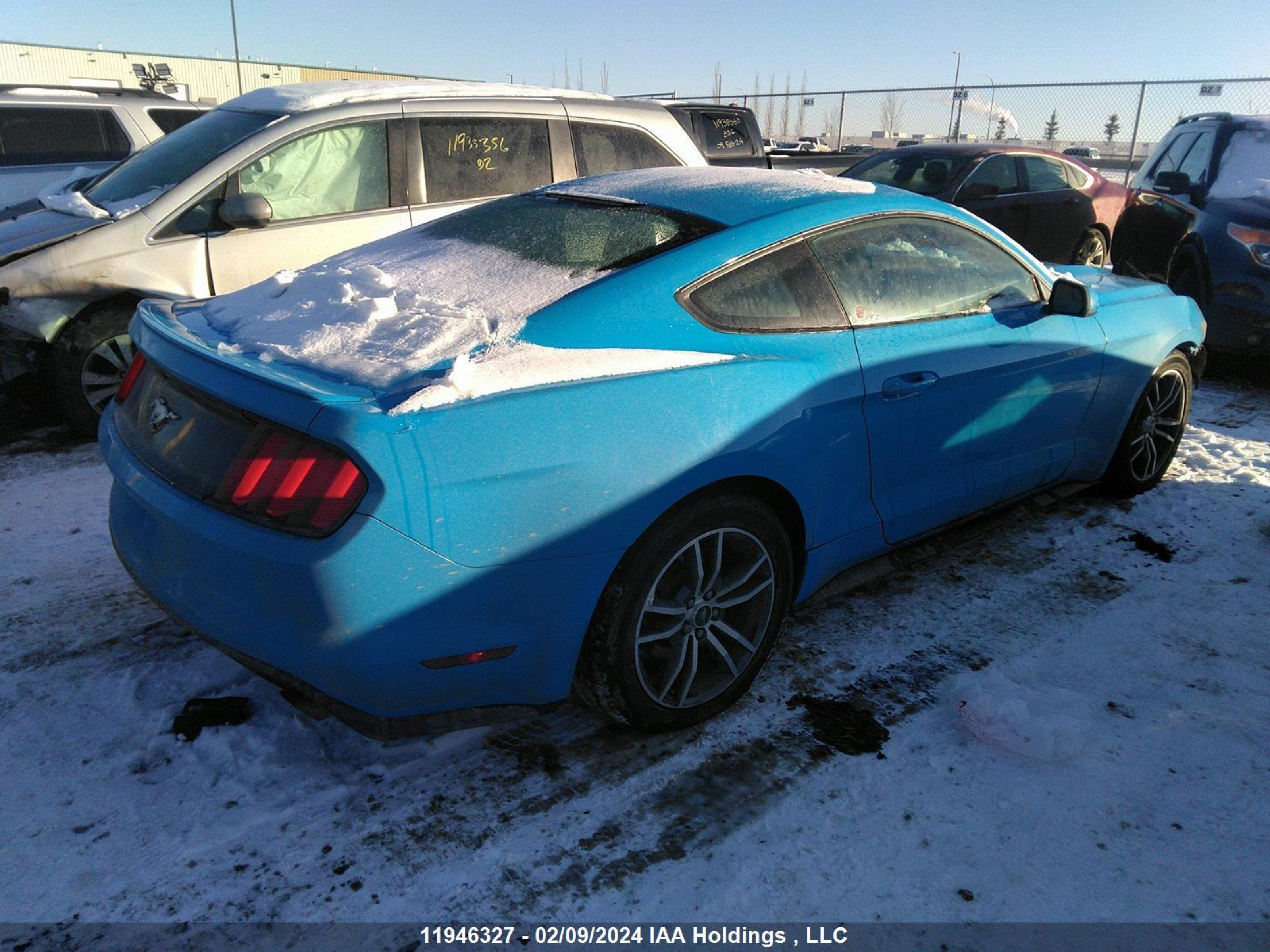 Photo 3 VIN: 1FA6P8TH0H5298883 - FORD MUSTANG 