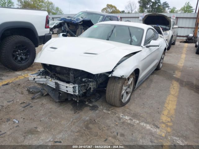 Photo 1 VIN: 1FA6P8TH0K5116994 - FORD MUSTANG 