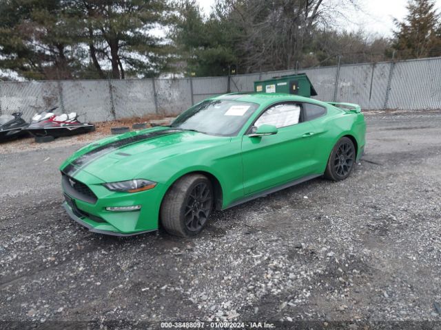 Photo 1 VIN: 1FA6P8TH0K5117840 - FORD MUSTANG 