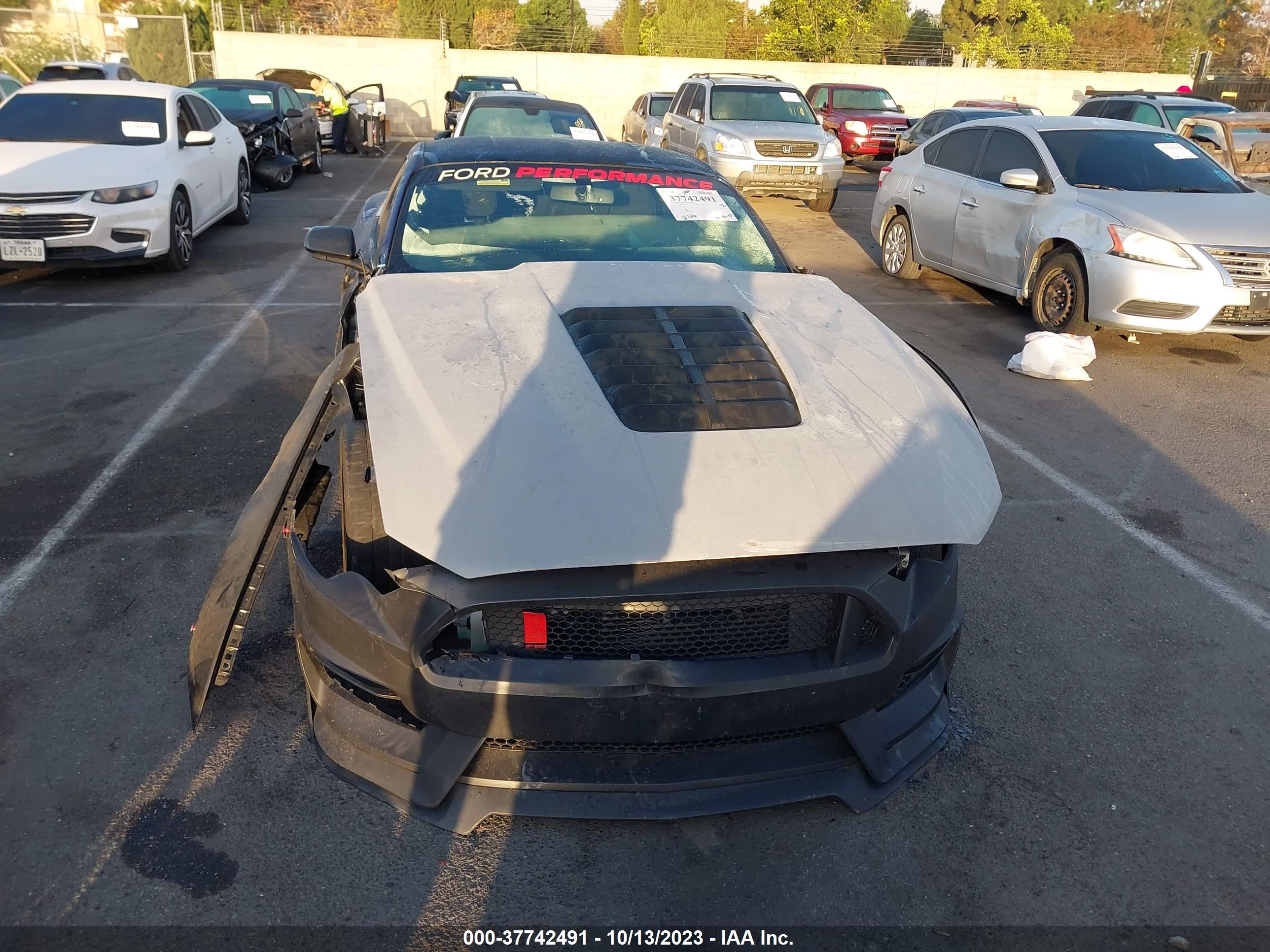 Photo 12 VIN: 1FA6P8TH0K5169050 - FORD MUSTANG 