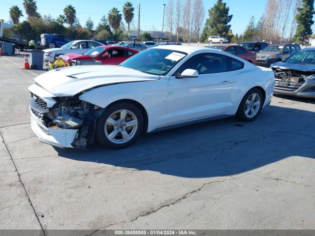 Photo 1 VIN: 1FA6P8TH0K5175821 - FORD MUSTANG 