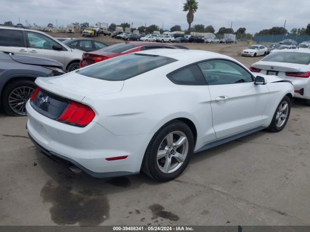 Photo 3 VIN: 1FA6P8TH0K5176497 - FORD MUSTANG 