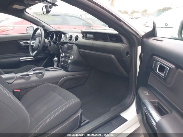 Photo 4 VIN: 1FA6P8TH0K5176497 - FORD MUSTANG 