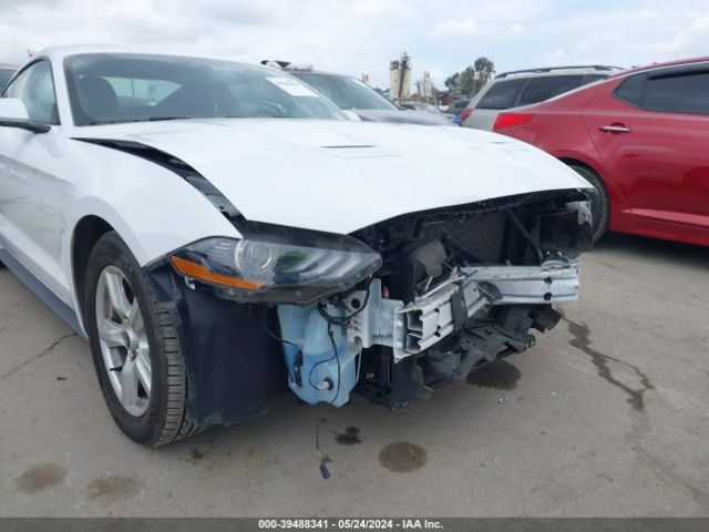 Photo 5 VIN: 1FA6P8TH0K5176497 - FORD MUSTANG 