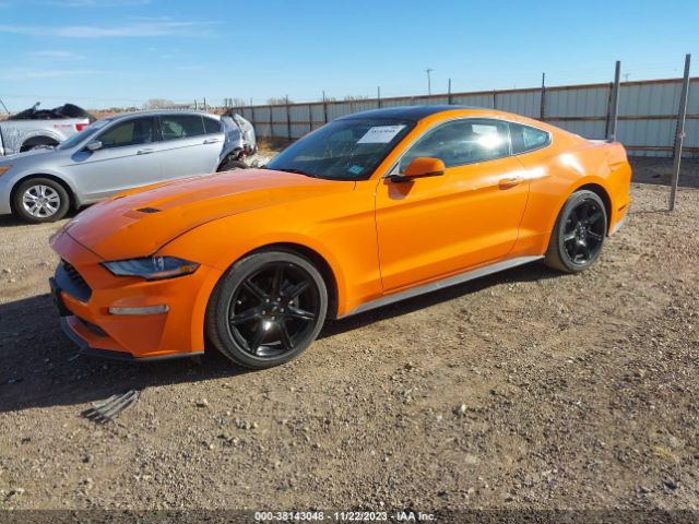 Photo 1 VIN: 1FA6P8TH0L5159782 - FORD MUSTANG 