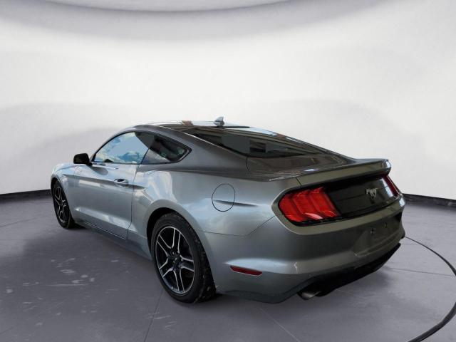 Photo 1 VIN: 1FA6P8TH0N5101190 - FORD MUSTANG 