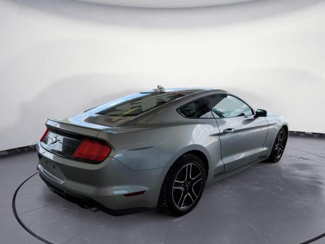 Photo 2 VIN: 1FA6P8TH0N5101190 - FORD MUSTANG 