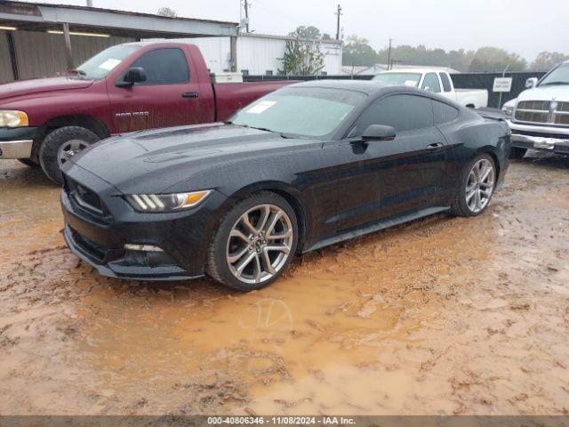 Photo 1 VIN: 1FA6P8TH1F5330396 - FORD MUSTANG 