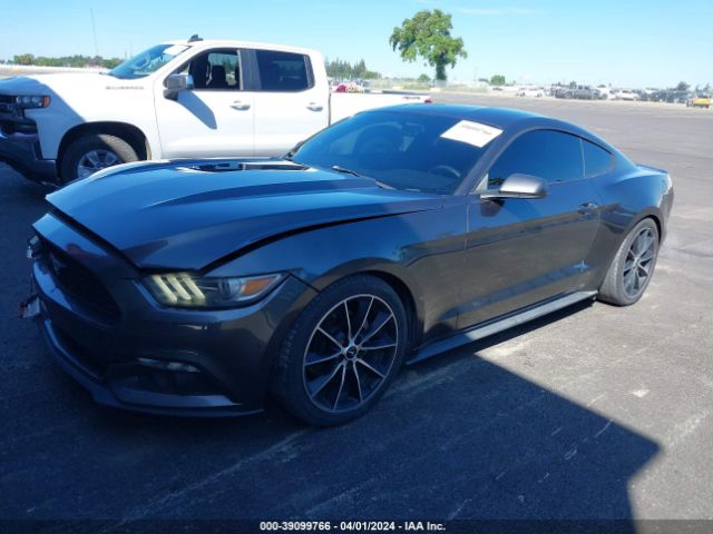 Photo 1 VIN: 1FA6P8TH1F5339308 - FORD MUSTANG 