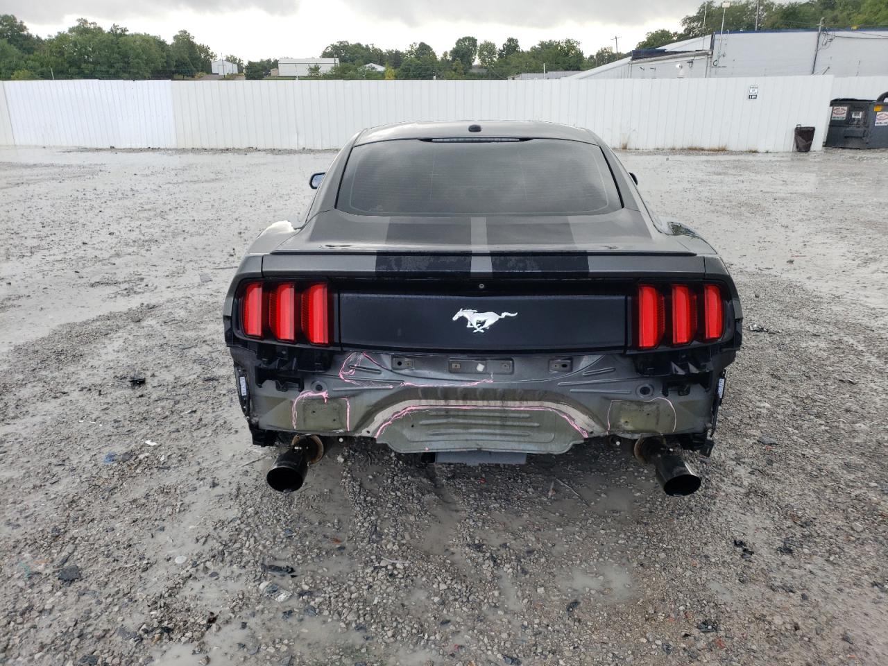 Photo 5 VIN: 1FA6P8TH1F5360627 - FORD MUSTANG 