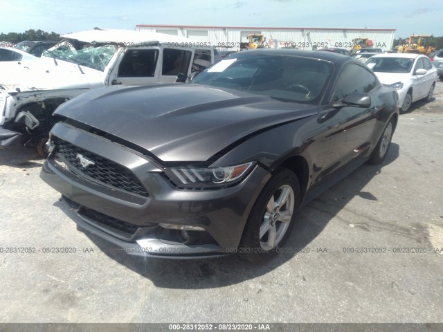 Photo 1 VIN: 1FA6P8TH1F5361129 - FORD MUSTANG 