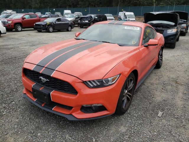 Photo 1 VIN: 1FA6P8TH1F5372423 - FORD MUSTANG 