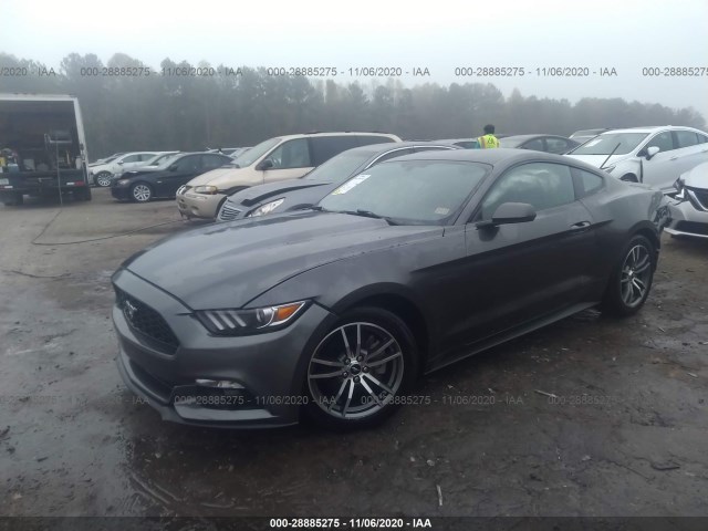 Photo 1 VIN: 1FA6P8TH1F5390310 - FORD MUSTANG 