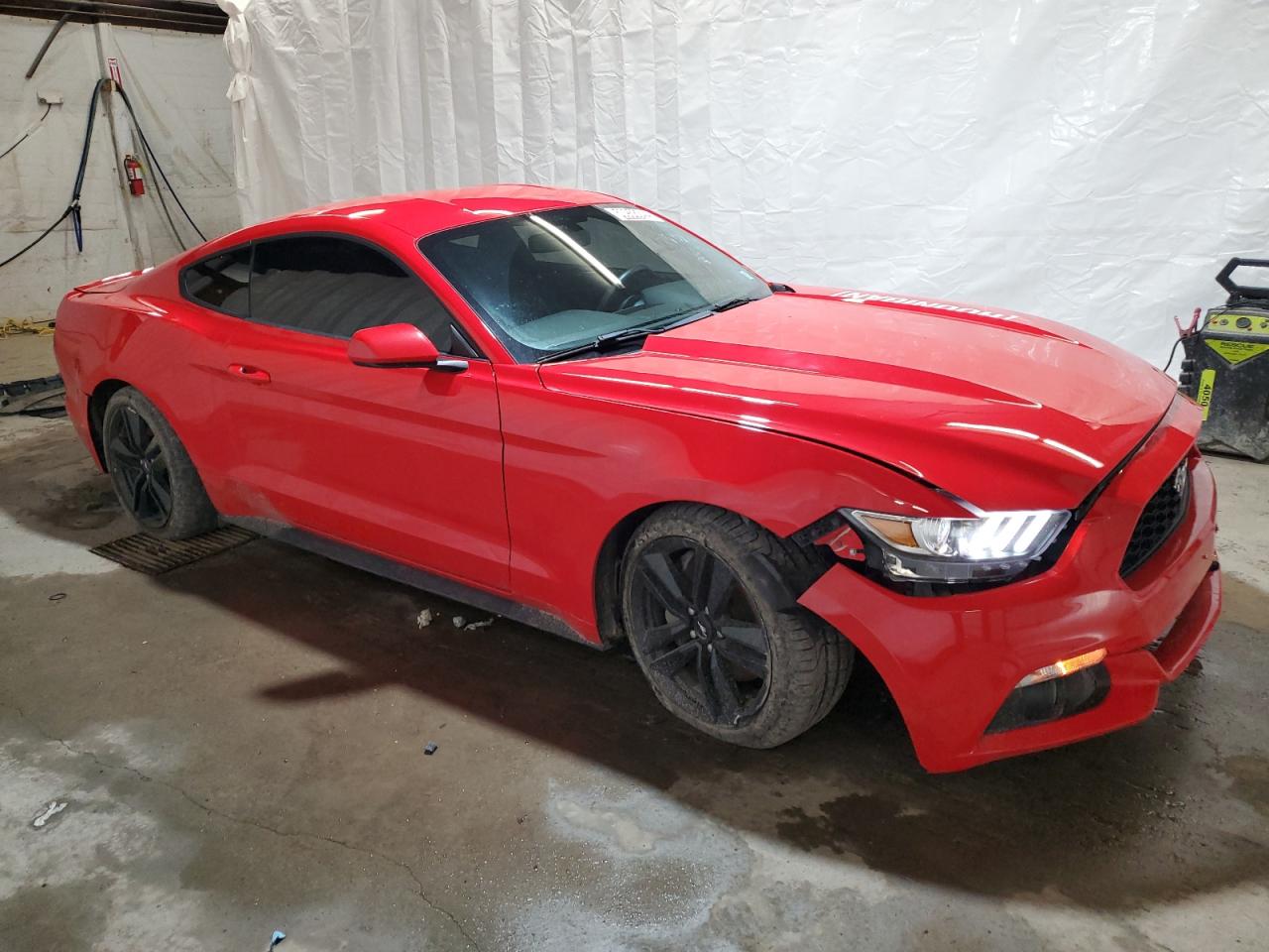 Photo 3 VIN: 1FA6P8TH1G5229098 - FORD MUSTANG 