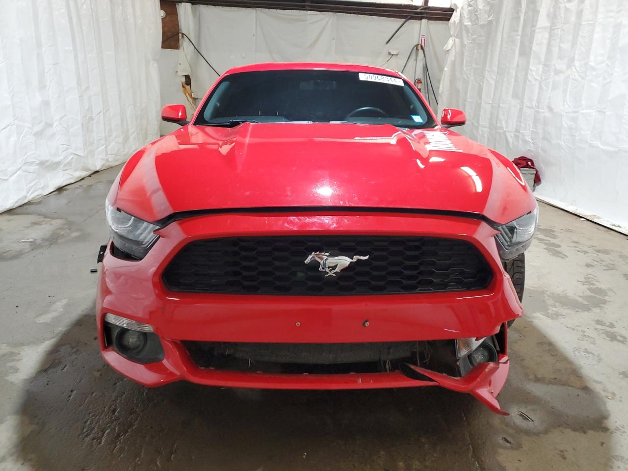 Photo 4 VIN: 1FA6P8TH1G5229098 - FORD MUSTANG 