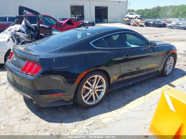 Photo 3 VIN: 1FA6P8TH1G5244801 - FORD MUSTANG 