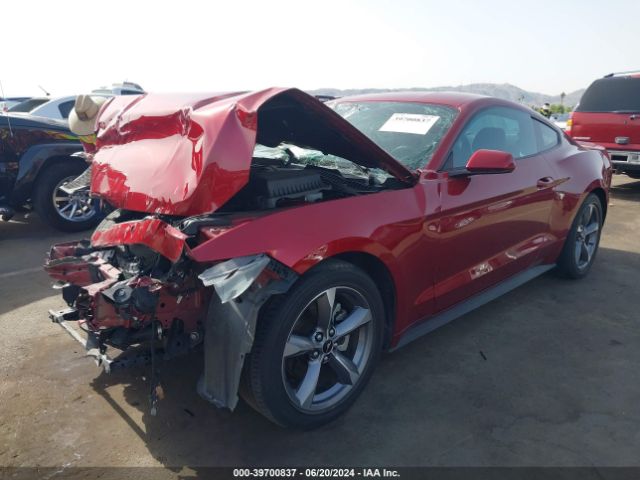 Photo 1 VIN: 1FA6P8TH1G5253014 - FORD MUSTANG 