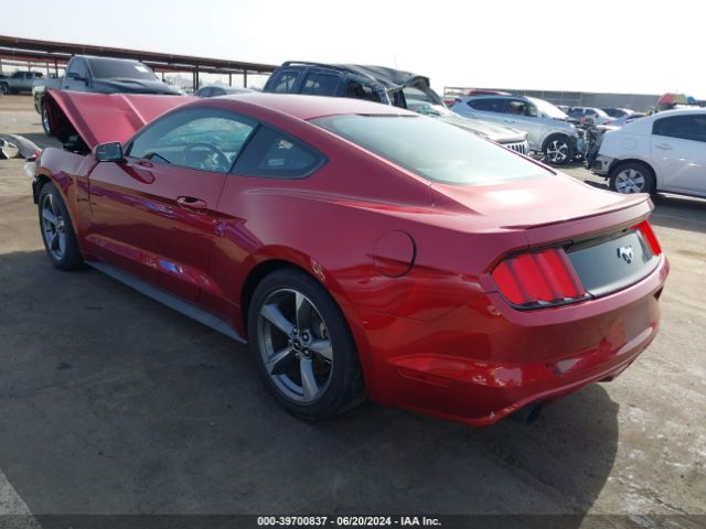 Photo 2 VIN: 1FA6P8TH1G5253014 - FORD MUSTANG 