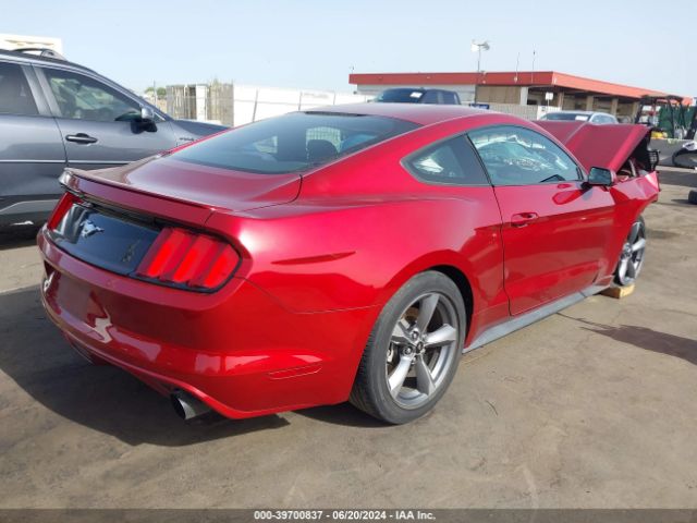 Photo 3 VIN: 1FA6P8TH1G5253014 - FORD MUSTANG 