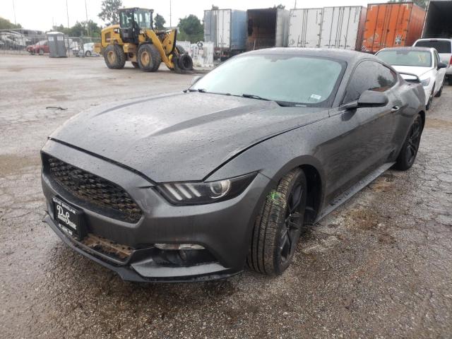 Photo 1 VIN: 1FA6P8TH1G5263736 - FORD MUSTANG 