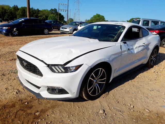 Photo 1 VIN: 1FA6P8TH1G5265566 - FORD MUSTANG 