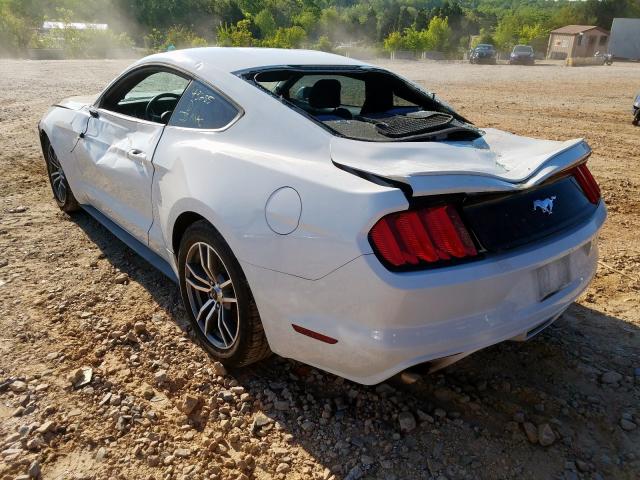 Photo 2 VIN: 1FA6P8TH1G5265566 - FORD MUSTANG 