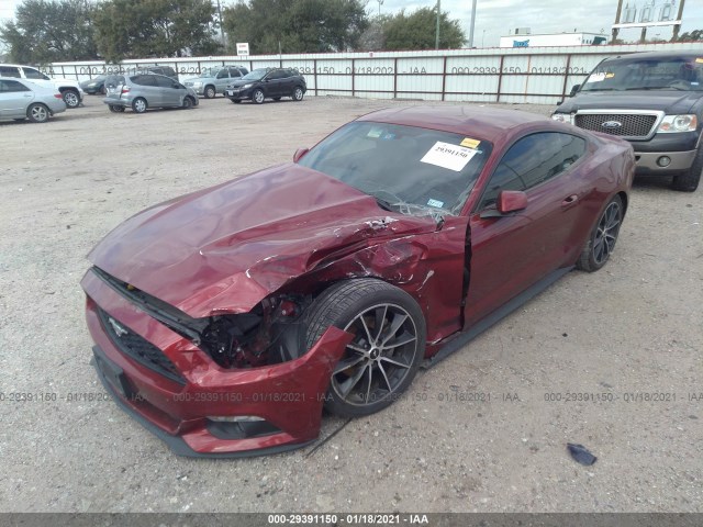 Photo 1 VIN: 1FA6P8TH1G5266703 - FORD MUSTANG 