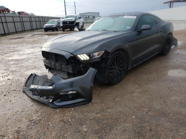 Photo 1 VIN: 1FA6P8TH1G5303197 - FORD MUSTANG 