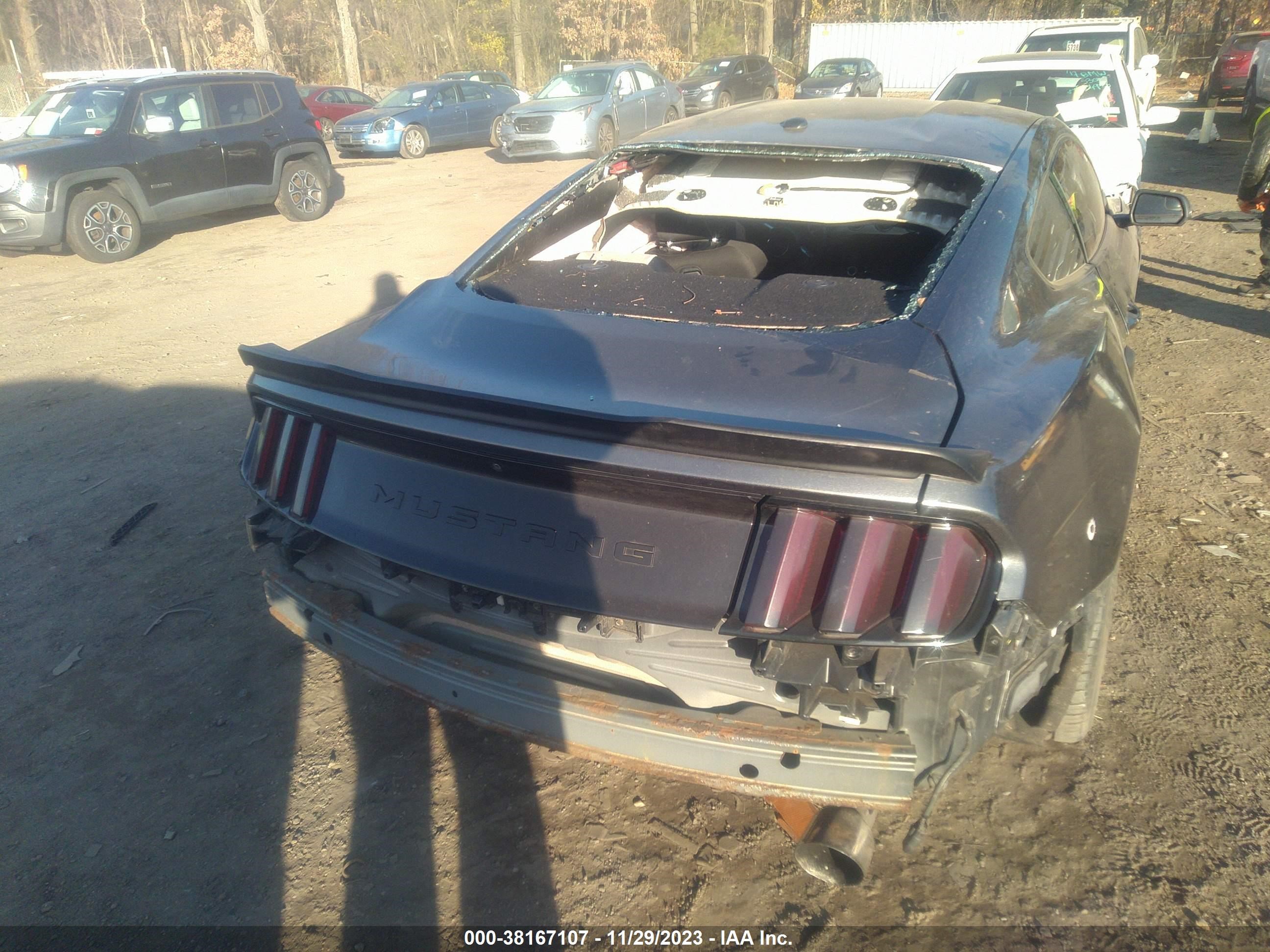 Photo 14 VIN: 1FA6P8TH1G5304995 - FORD MUSTANG 