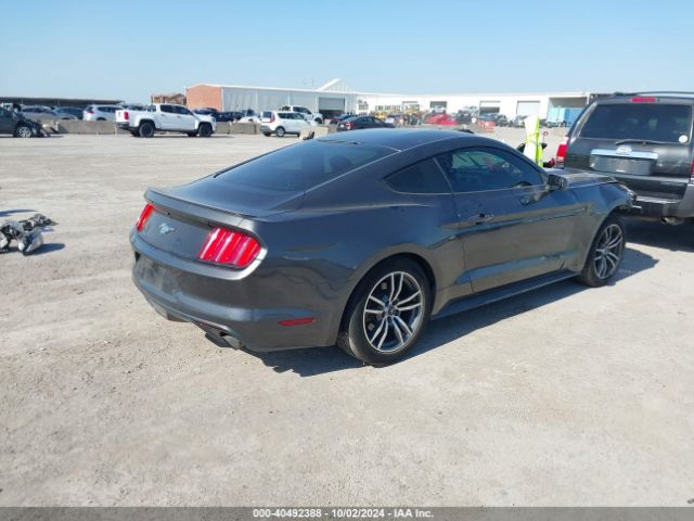 Photo 3 VIN: 1FA6P8TH1G5336149 - FORD MUSTANG 