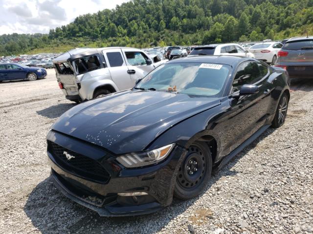 Photo 1 VIN: 1FA6P8TH1G5337124 - FORD MUSTANG 