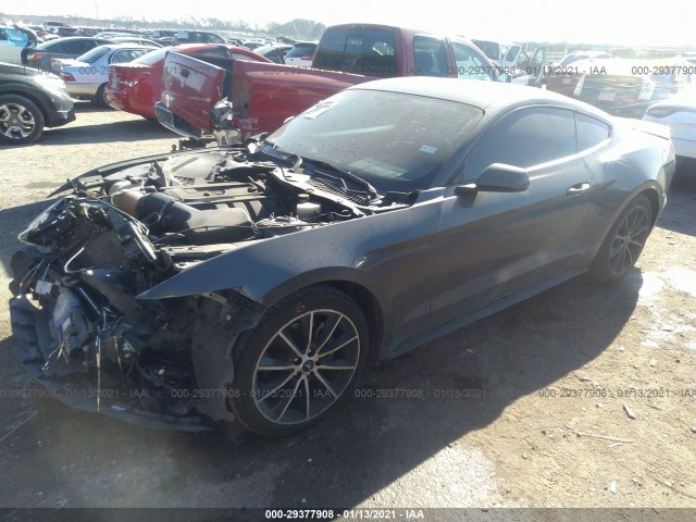 Photo 1 VIN: 1FA6P8TH1H5235081 - FORD MUSTANG 