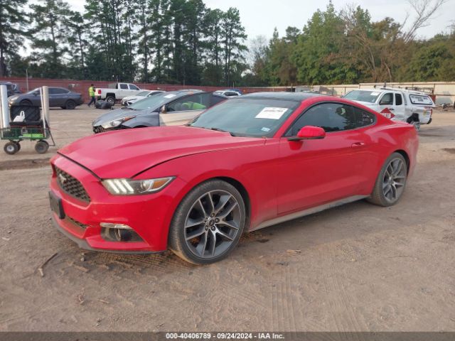 Photo 1 VIN: 1FA6P8TH1H5250194 - FORD MUSTANG 