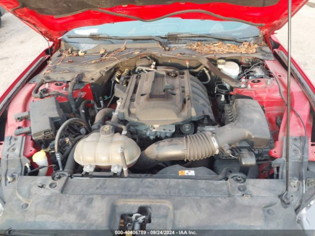 Photo 9 VIN: 1FA6P8TH1H5250194 - FORD MUSTANG 