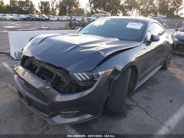 Photo 1 VIN: 1FA6P8TH1H5295460 - FORD MUSTANG 