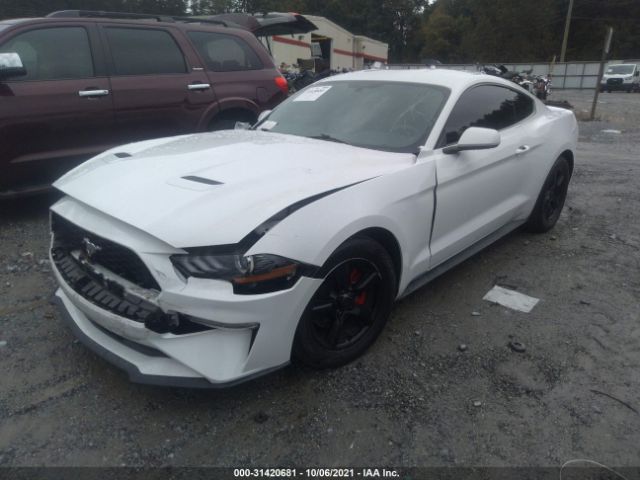 Photo 1 VIN: 1FA6P8TH1J5101631 - FORD MUSTANG 